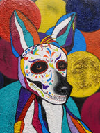 Xoco