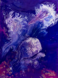 Medusas